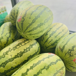  《高溫下的堅守！湘廣土木“送清涼”，致敬最美工友》